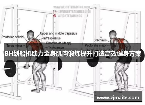 BH划船机助力全身肌肉锻炼提升打造高效健身方案