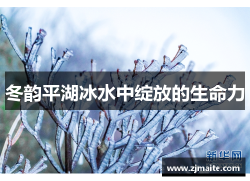 冬韵平湖冰水中绽放的生命力